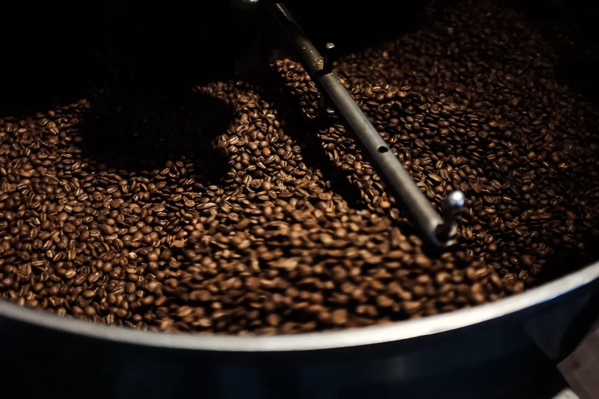 Freshly roasted beans turning under the stirring arm in the cooling tray of the Ultimo roaster