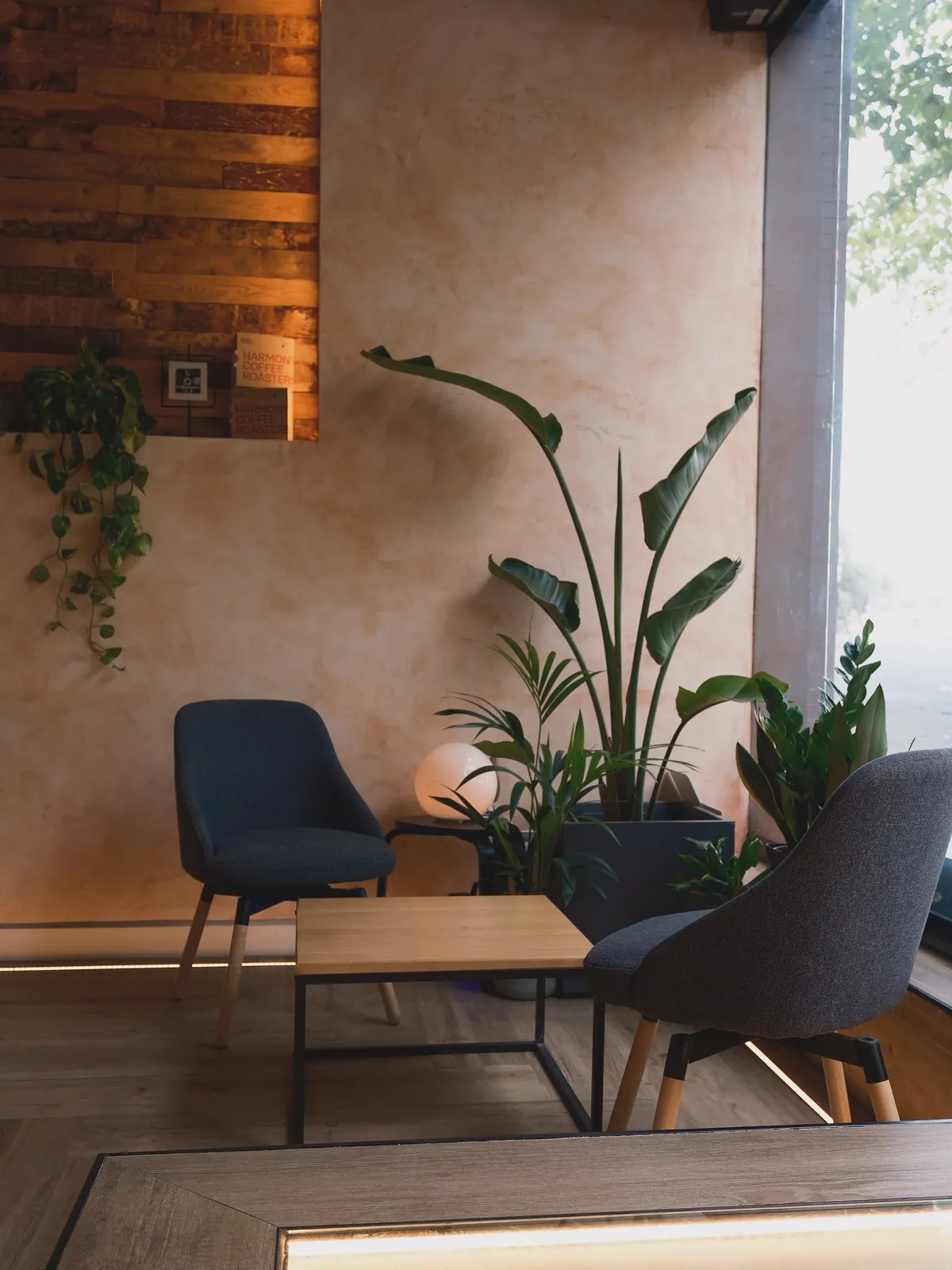 Two grey armchairs and a low wooden table beside a bird of paradise plant at the Harmony Roasters roastery in Montcada i Reixac