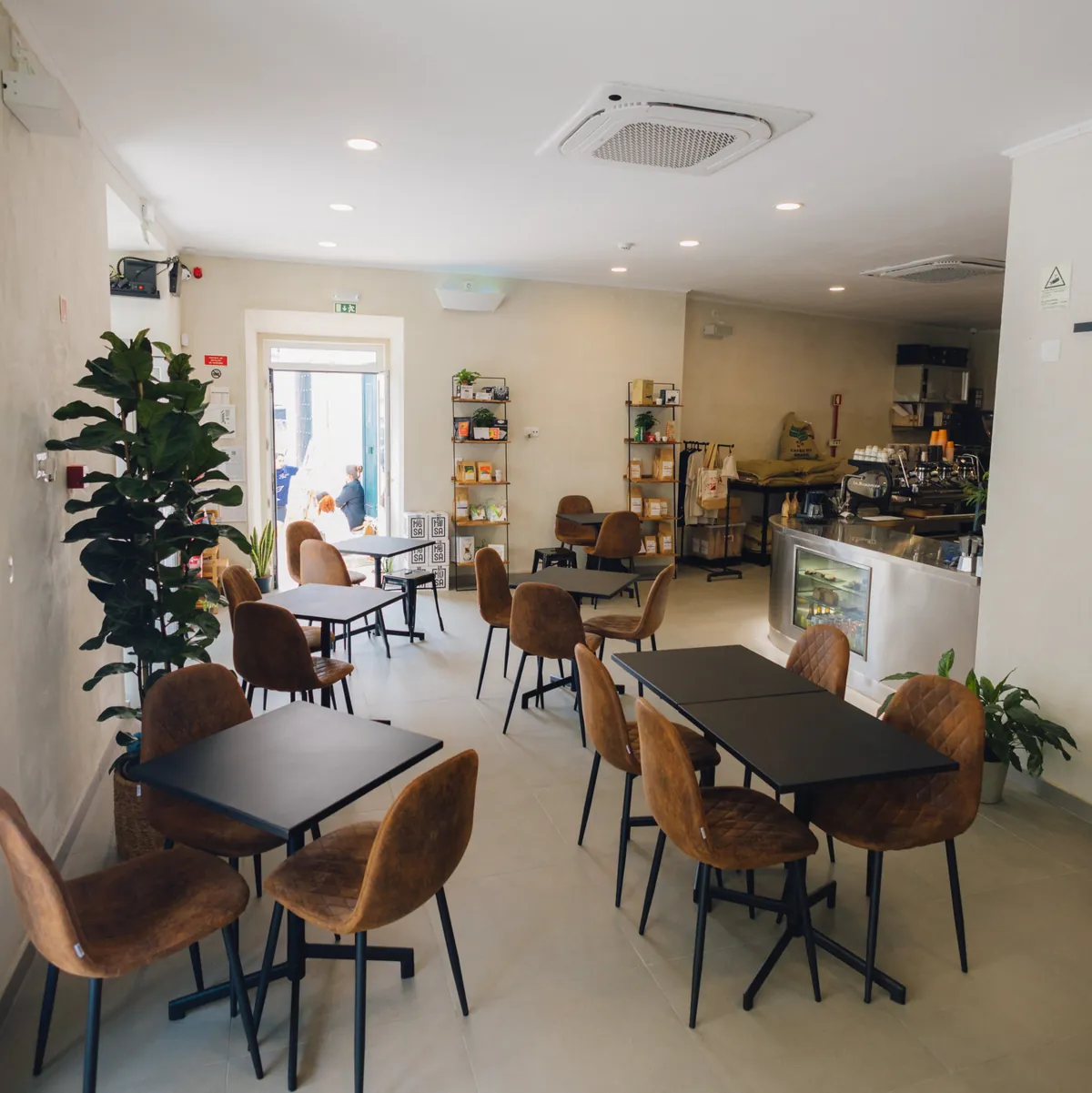 The bright dining room of a Baobá café in Lisbon, with dark tables, tan leather chairs, a fiddle-leaf fig and the espresso counter at the back