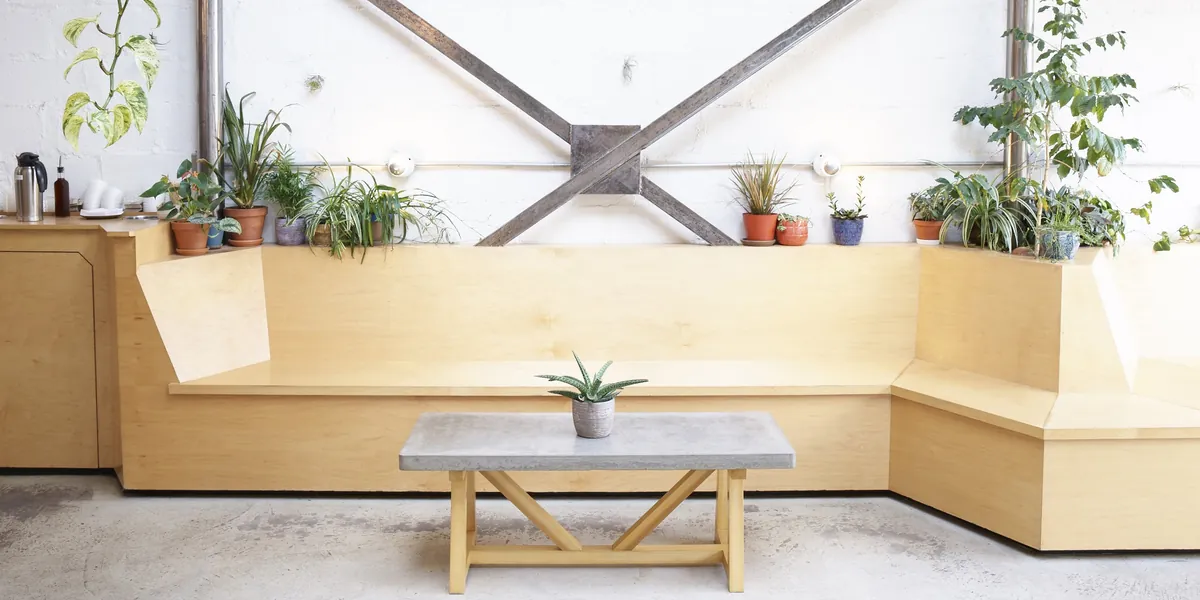 A long plywood bench with pot plants along its back and a concrete coffee table inside the SEY café in Brooklyn