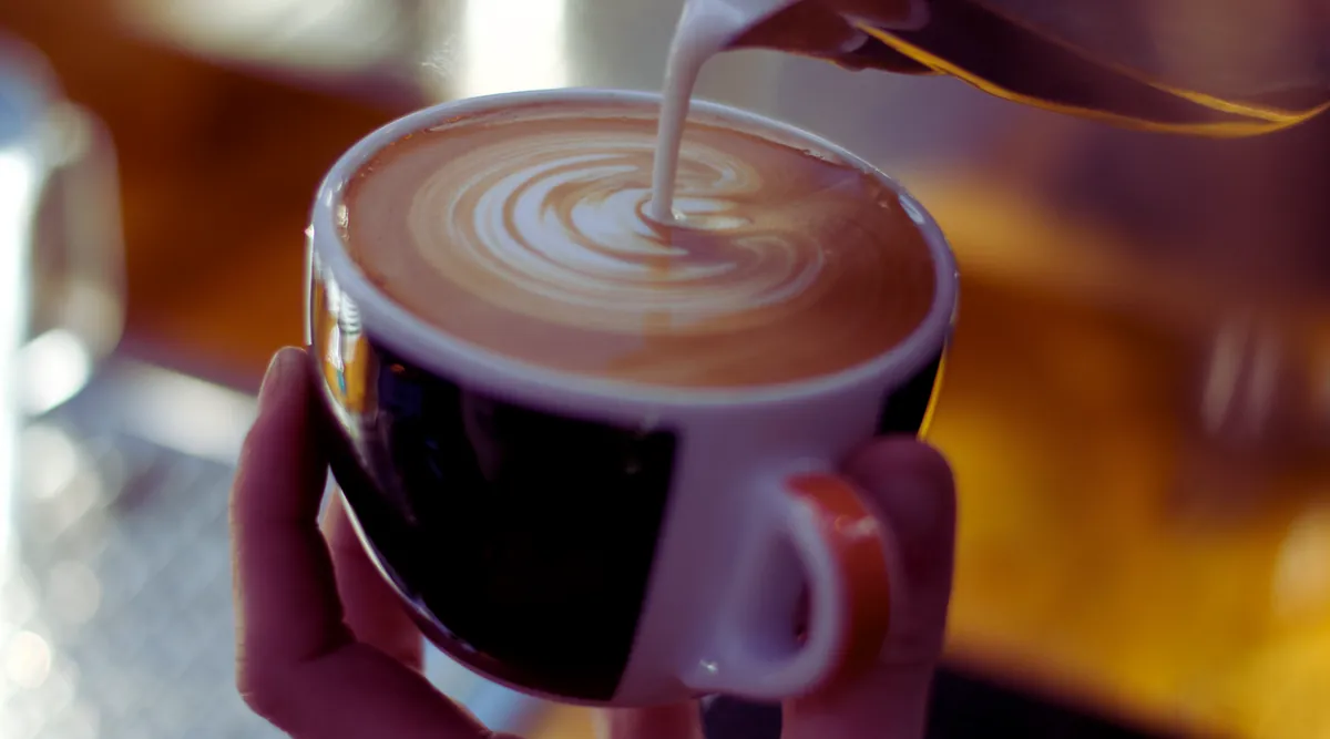 A barista pours steamed milk into a flat white in a white cup at Foundry Coffee Roasters