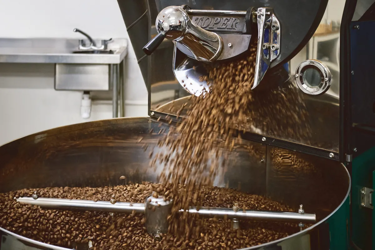 Freshly roasted coffee pouring from the drum of a Stewarts roaster into the stirring cooling tray