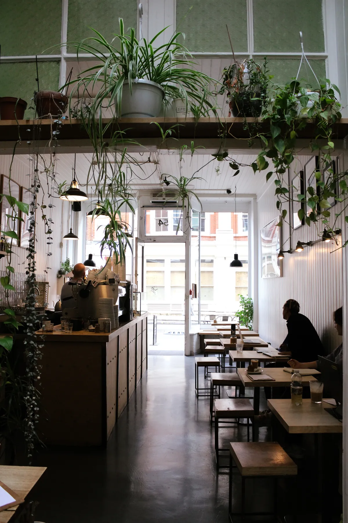 Hanging plants above the counter and window tables inside a Store Street Espresso shop