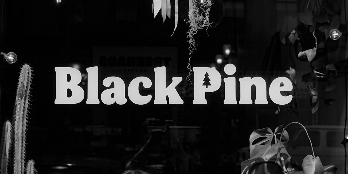Black-and-white photograph of the Black Pine window lettering with plants and a cactus behind the glass