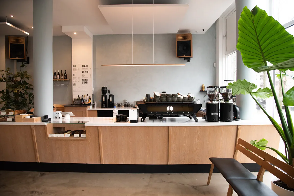 The bright counter at the Five Ways East café, with an espresso machine on a pale wood bar and a large plant by the window