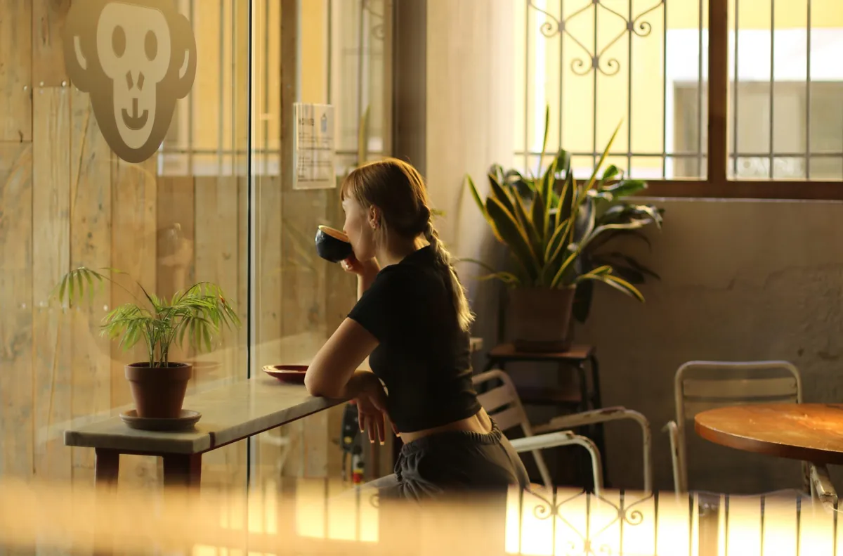 Late sun at the window counter of Monkee Koffee, with the monkey logo on the glass and plants along the sill
