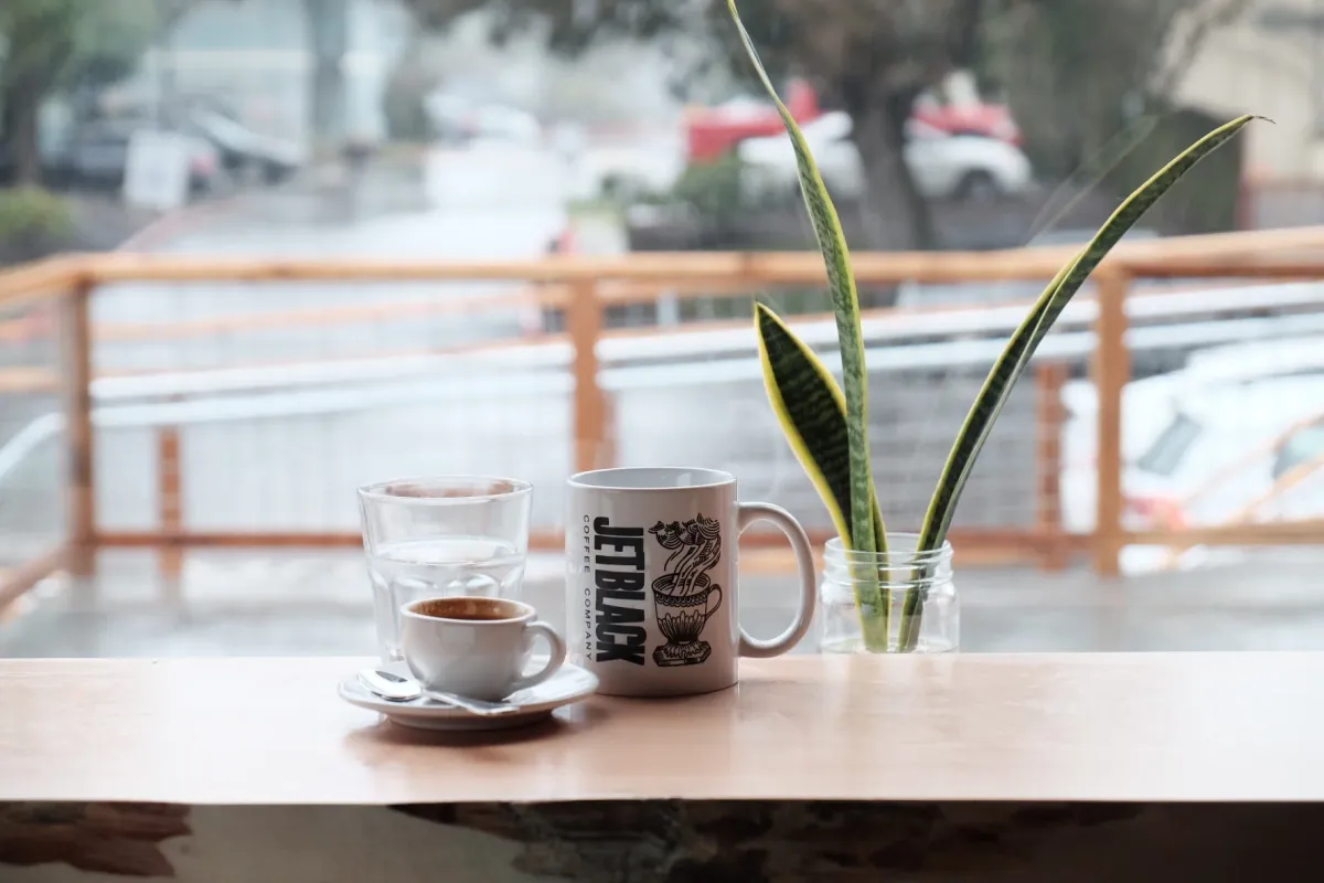 An espresso, a glass of water and a Jet Black Coffee Company mug on a wooden window counter beside a snake plant in a glass jar