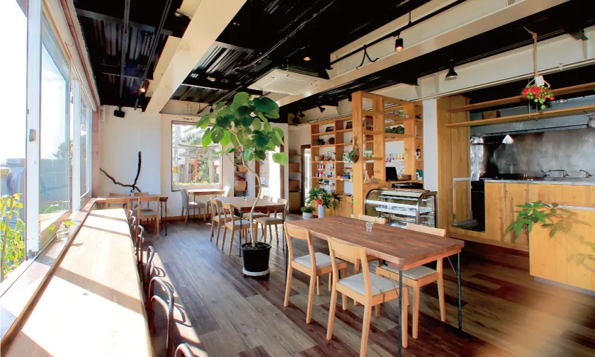 The dining room at Veg Out, with wooden tables and chairs, a long window counter, a potted fig tree and a pastry case by the open kitchen